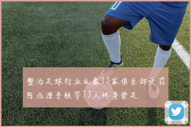 整治足球行业乱象13家俱乐部受罚陈戌源李铁等73人终身禁足
